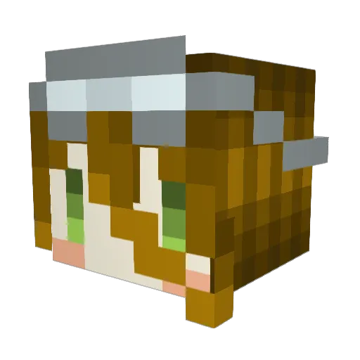 Lironhavaro Minecraft avatar head, 3D render