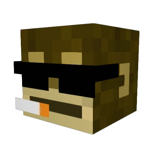 Lirooy14 Minecraft avatar head, 3D render