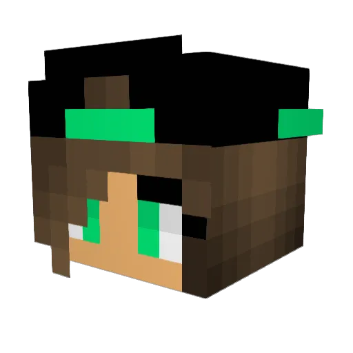 Lis122 Minecraft avatar head, 3D render