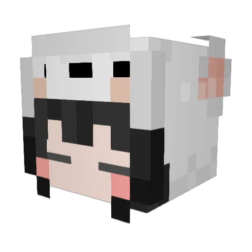 Lis2808 Minecraft avatar head, 3D render