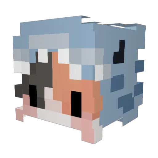 Lisa0201 Minecraft avatar head, 3D render