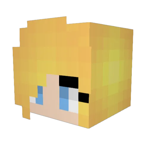Lisa11 Minecraft avatar head, 3D render