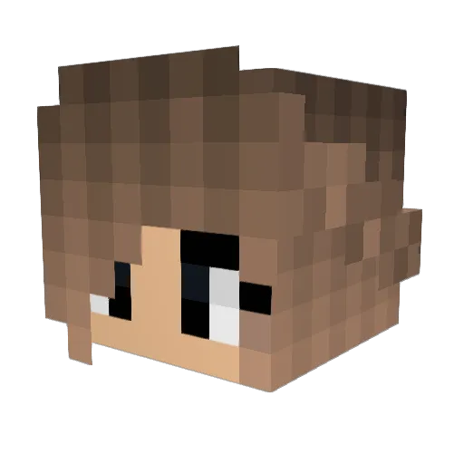 Lisa2586 Minecraft avatar head, 3D render