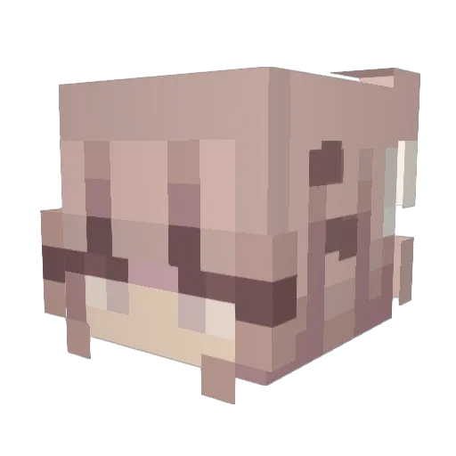 Lisa2901 Minecraft avatar head, 3D render