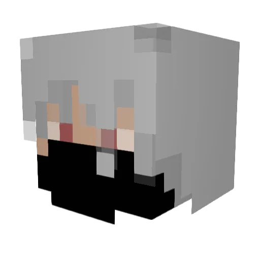 Lisa3001 Minecraft avatar head, 3D render