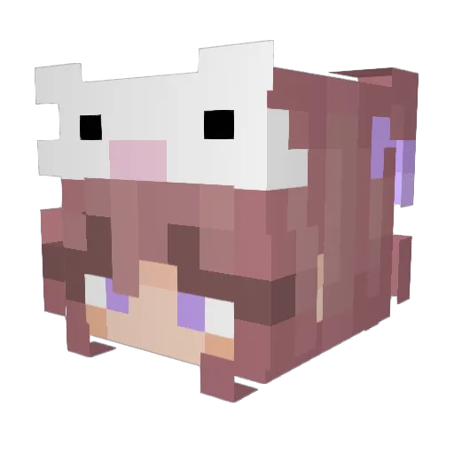 Lisa5000 Minecraft avatar head, 3D render