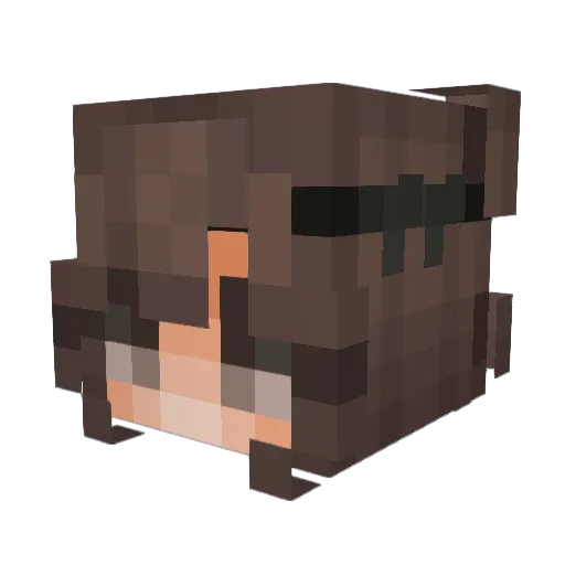 Lisa55555 Minecraft avatar head, 3D render