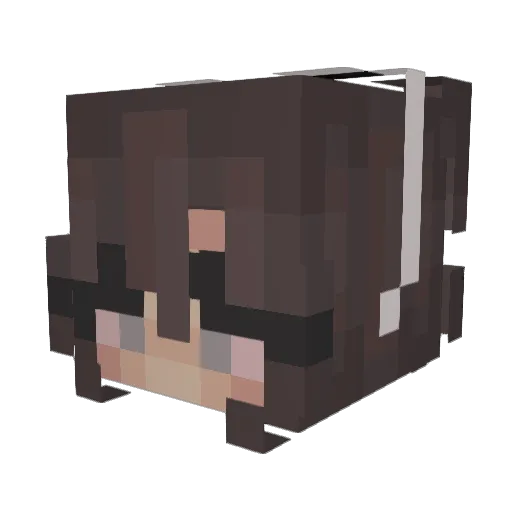Lisa567 Minecraft avatar head, 3D render