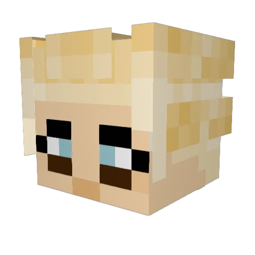 LisaG15 Minecraft avatar head, 3D render