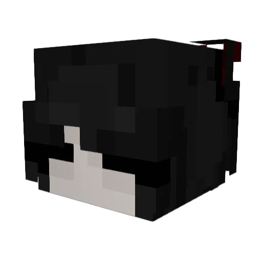 Lisacoolaste Minecraft avatar head, 3D render
