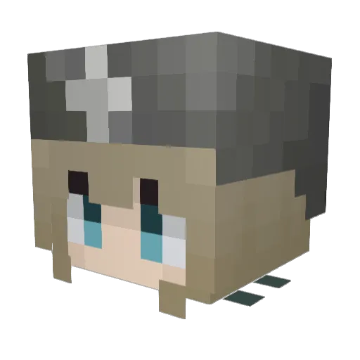 Lisandro6309 Minecraft avatar head, 3D render