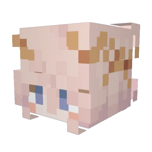 LiseBloom Minecraft avatar head, 3D render
