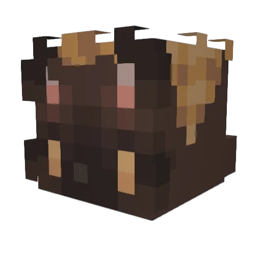 LiseDR Minecraft avatar head, 3D render