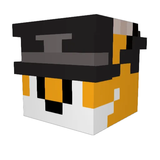 Lisek457 Minecraft avatar head, 3D render