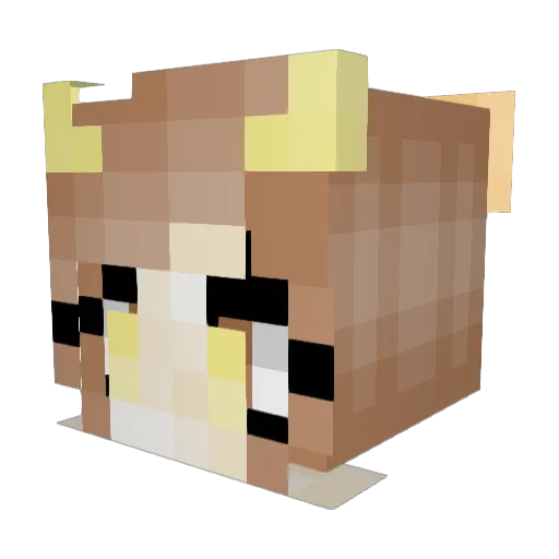 Liserka26 Minecraft avatar head, 3D render