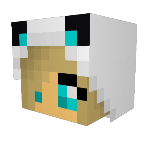 Lisette_Koops Minecraft avatar head, 3D render