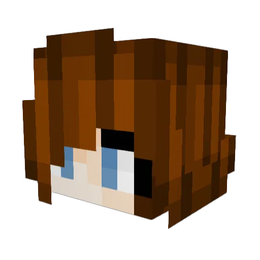 Lishy771 Minecraft avatar head, 3D render