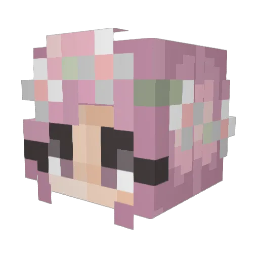 Lisianthus69 Minecraft avatar head, 3D render