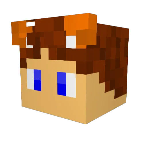 Lisiasty__ Minecraft avatar head, 3D render