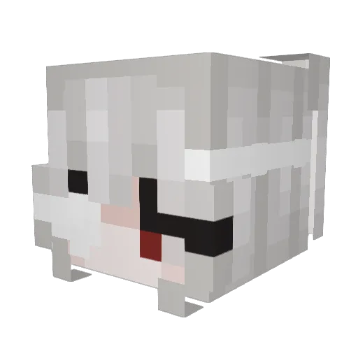 Liska232 Minecraft avatar head, 3D render