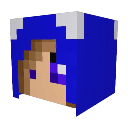 Lissie24 Minecraft avatar head, 3D render