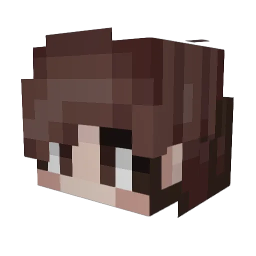 Lissy10 Minecraft avatar head, 3D render