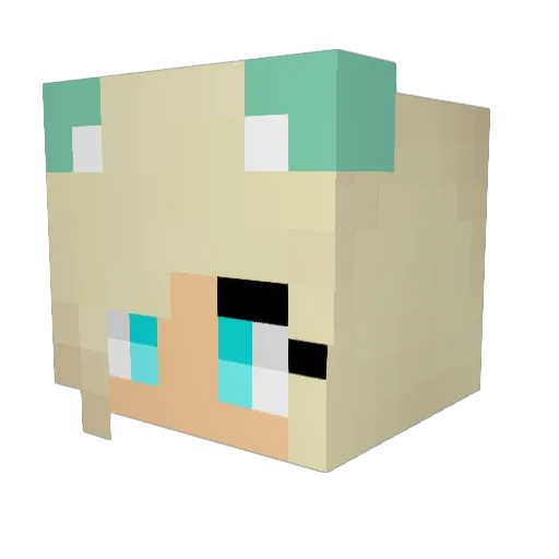 Lissy20 Minecraft avatar head, 3D render