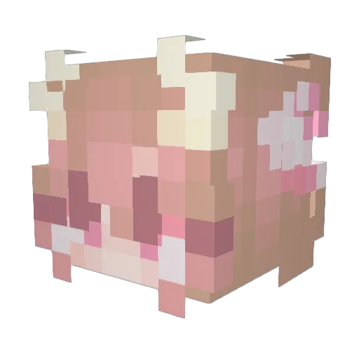 Lissy5243 Minecraft avatar head, 3D render