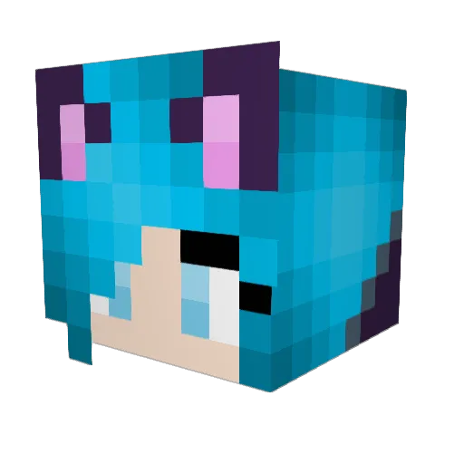 LissyKatze Minecraft avatar head, 3D render
