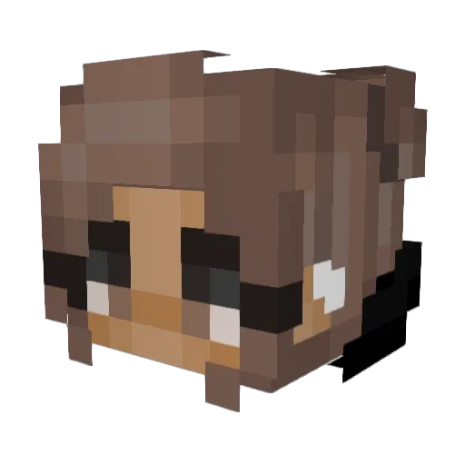 Lissynater Minecraft avatar head, 3D render
