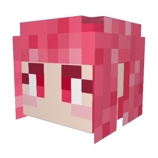 Lisu0510 Minecraft avatar head, 3D render