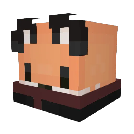 Lisu170 Minecraft avatar head, 3D render