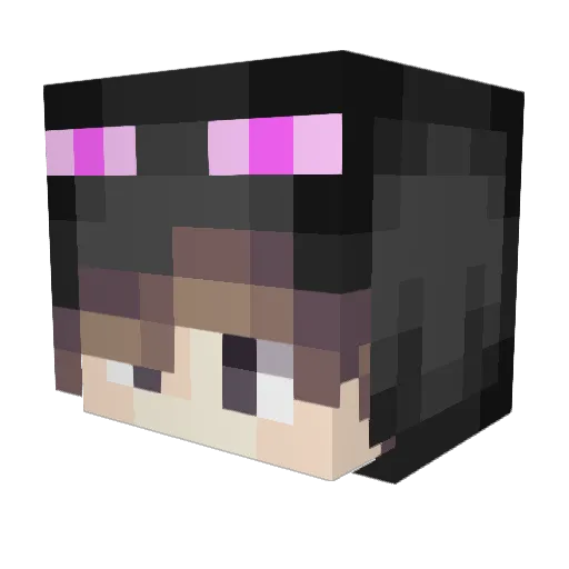 Liszotron Minecraft avatar head, 3D render