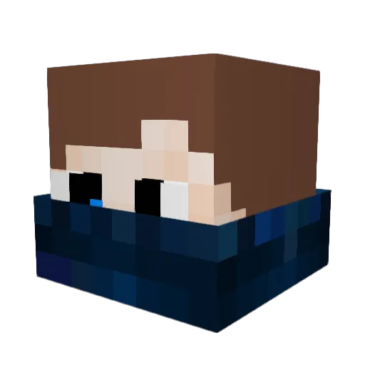 Lit2015 Minecraft avatar head, 3D render