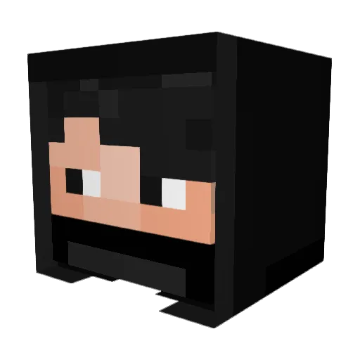 LitDumplings Minecraft avatar head, 3D render