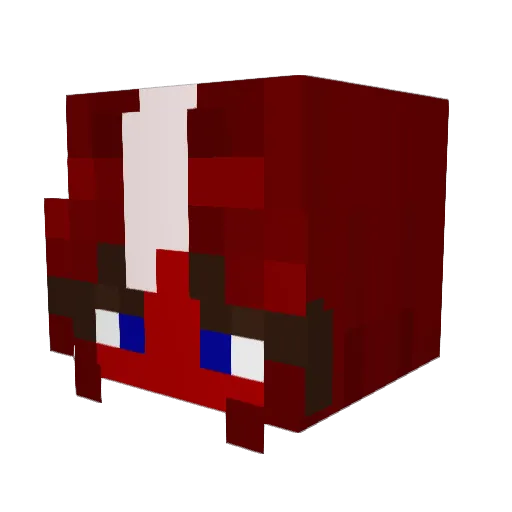 LitFilly Minecraft avatar head, 3D render
