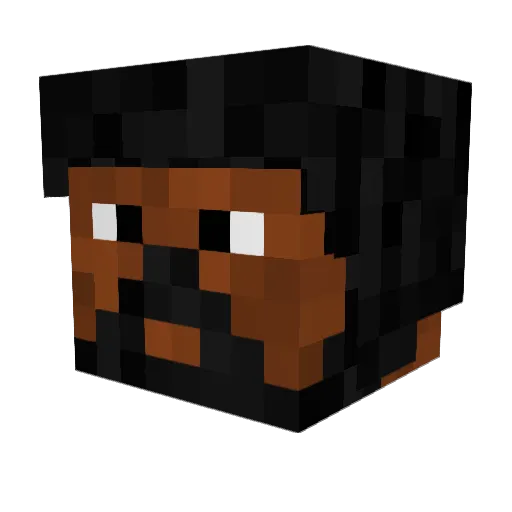 LitMan_Swagatron Minecraft avatar head, 3D render