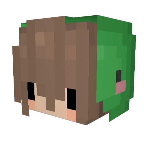 Lit_HandingTheD Minecraft avatar head, 3D render