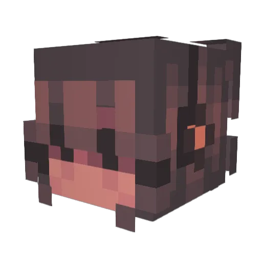 Lita2408 Minecraft avatar head, 3D render