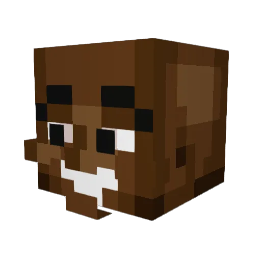 Litangdingzhen23 Minecraft avatar head, 3D render