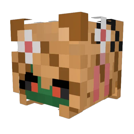 Litangdingzhena Minecraft avatar head, 3D render