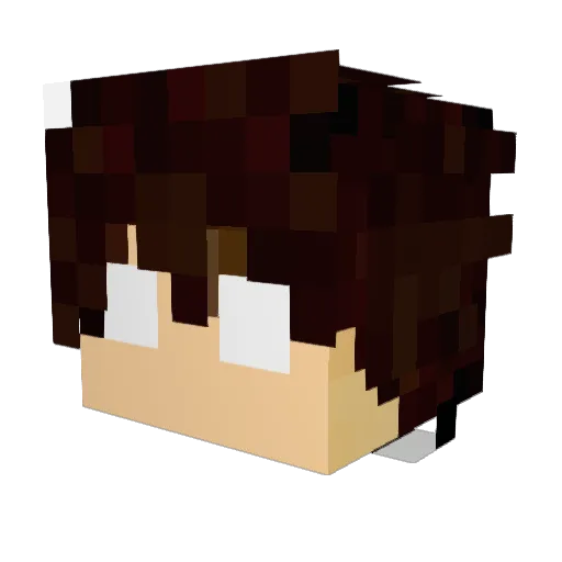 Litarra Minecraft avatar head, 3D render