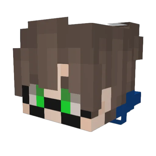 LitchSmasher Minecraft avatar head, 3D render