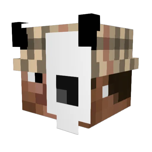 Litchi6 Minecraft avatar head, 3D render
