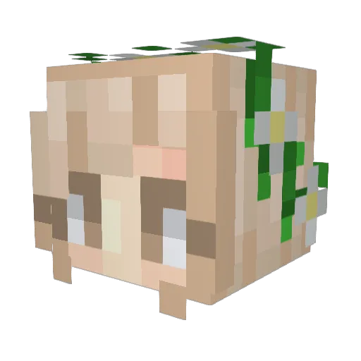 Litchick101 Minecraft avatar head, 3D render