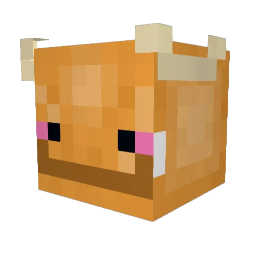 Litchii3 Minecraft avatar head, 3D render