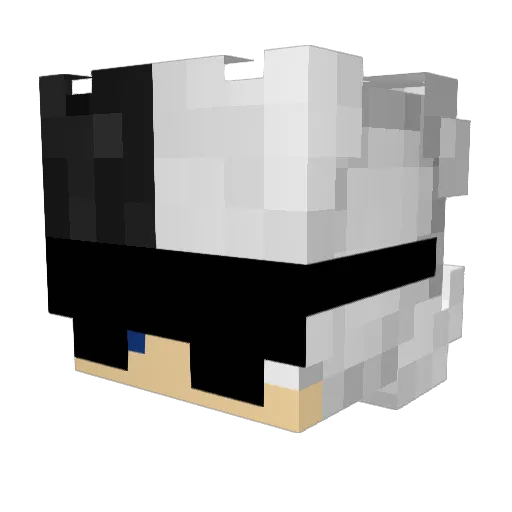 LitePlayss Minecraft avatar head, 3D render