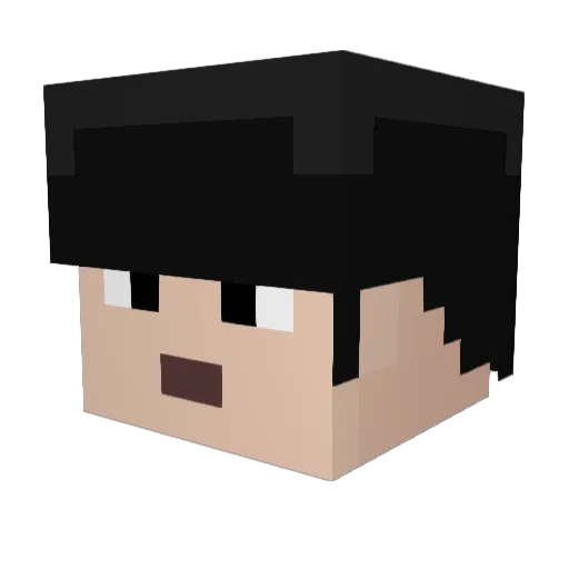LiteVVeight Minecraft avatar head, 3D render