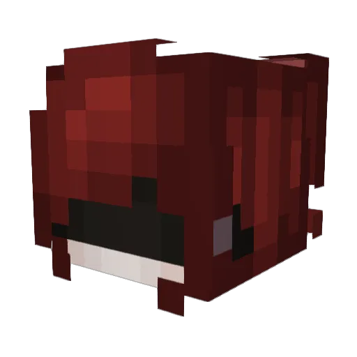 Liten_Flicka Minecraft avatar head, 3D render