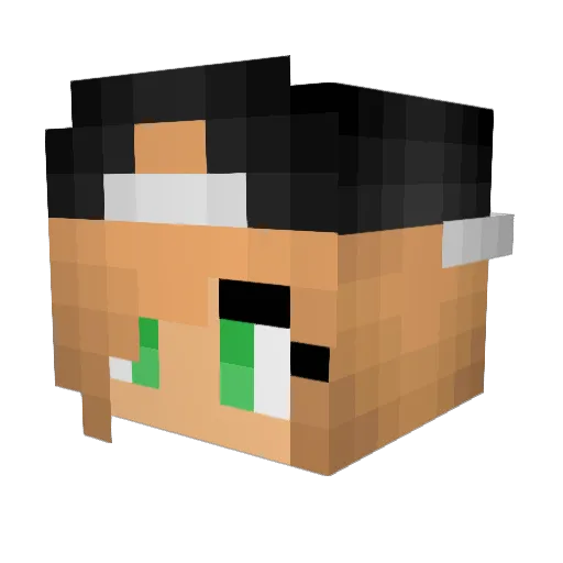 Litenezz13 Minecraft avatar head, 3D render